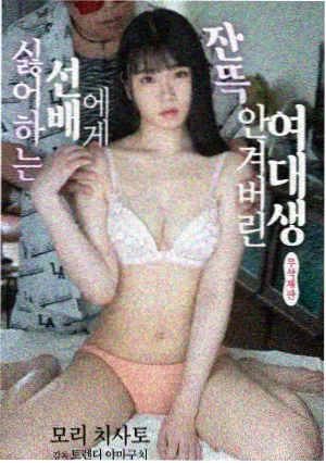 山月不知 古装剧在线观看